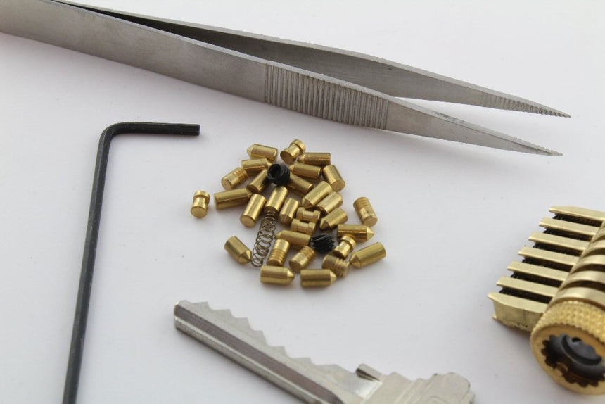 Dangerfield repinnable cut-away practice lock set detail